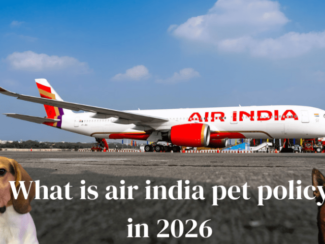 Air India Pet Policy – Complete 2026 Travel Guide