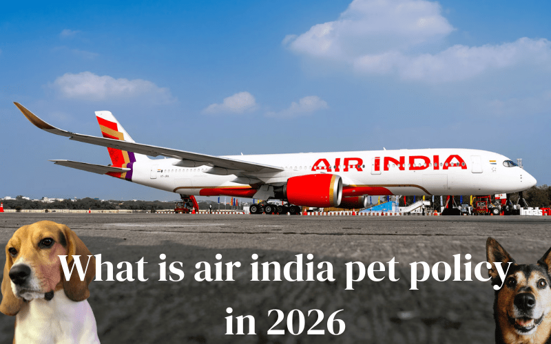 air india pet policy